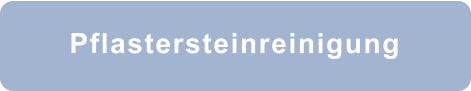 Pflastersteinreinigung
