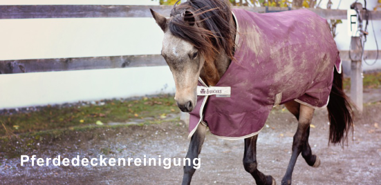 Pferdedeckenreinigung