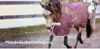 Pferdedeckenreinigung