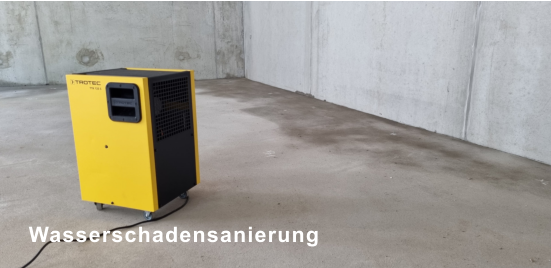 Wasserschadensanierung